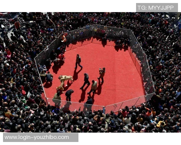 山西与浙江咪咕的精彩对决谁将赢得这场激烈的较量